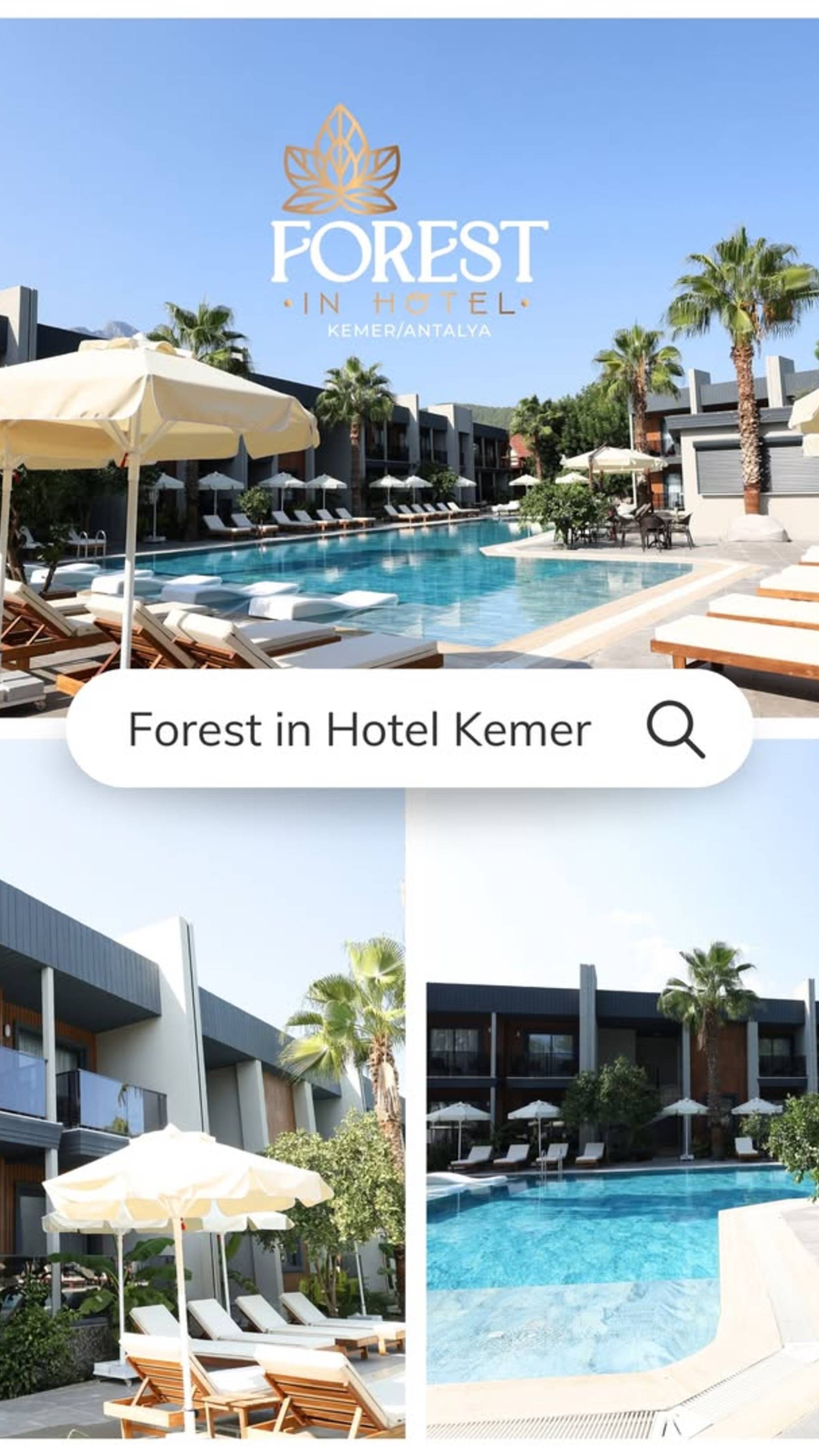 Forest in hotel 3* - Гойнюк, Кемер, Турция