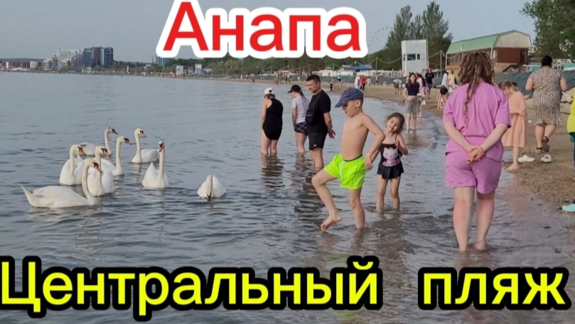 А мазут то есть на центральном пляже.
