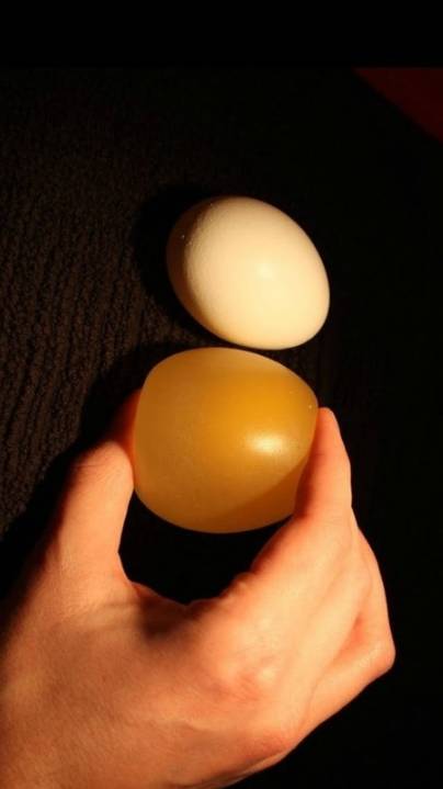 Как сделать резиновое яйцо 🥚
