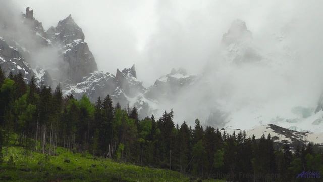 Леса качаются в ритме этой мощной мелодии - Morning Coffee -- HoliznaCC0 -- Lo-fi And Chill