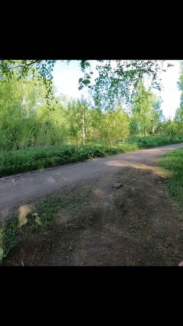 Витамина Д в избытке.