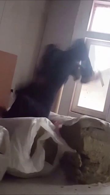 Это должно было быть крутое видео 😀