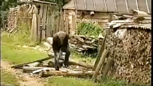 Надежда Кадышева Сохрани земля