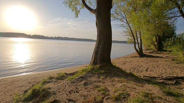 большой пляж на можайском берегу 🌊