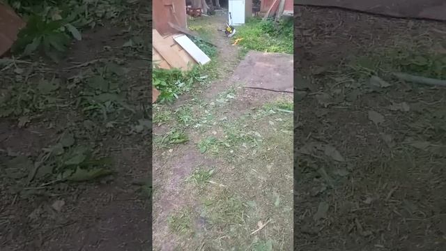 не много дел в доме)))
