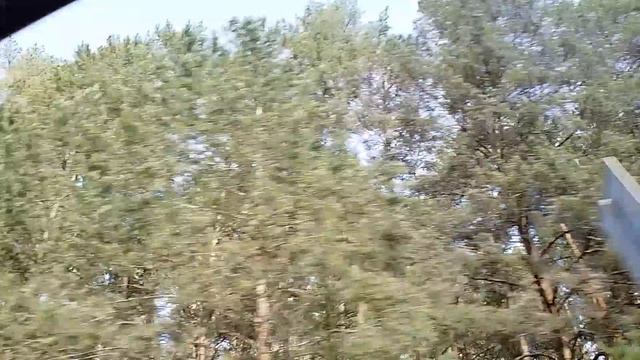 Путешествие. Дорога, дорога! 🚗
