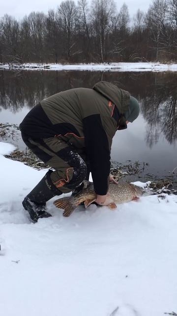 Уважение рыбаку, трофей