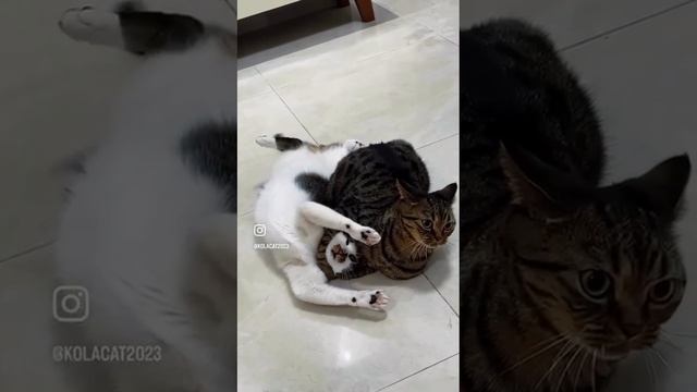 1000023576.mp4