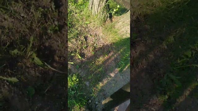 моя подружка Катя.жолтикова