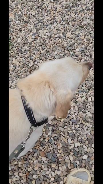 1000469742.mp4
