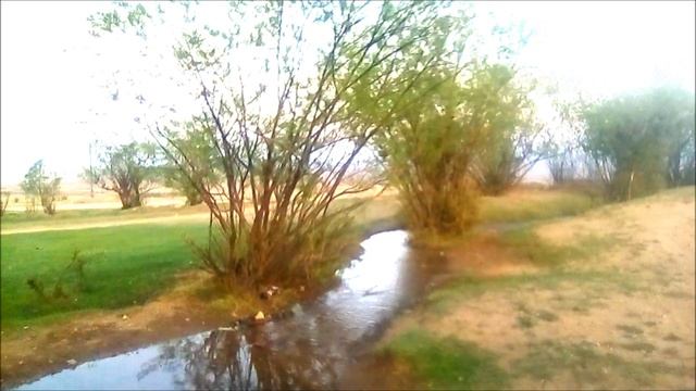 поехал продавать кабачки, но что-то пошло не так...
