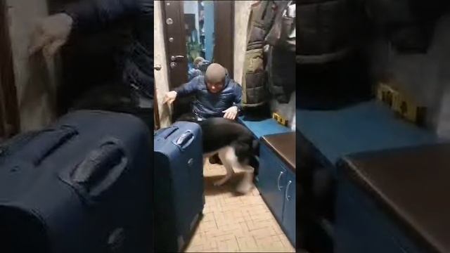 Встречает с командировки 😊❤️
Любовь собаки безгранична❤️❤️❤️