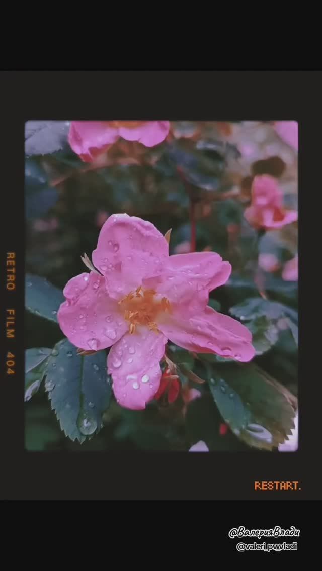 📸📲🎬