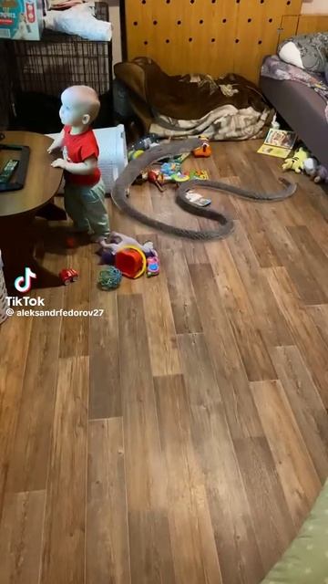 c23f93d1a1d41112dbc8e0a6b0514dd9.mp4