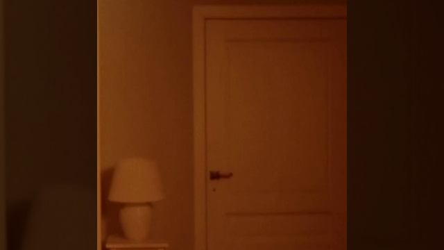 video-214729982_456239017-1080