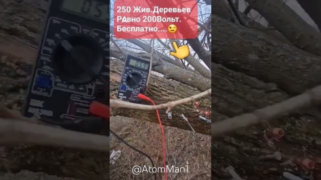 Дерево.Гвоздь.Электричество.@AtomMan1