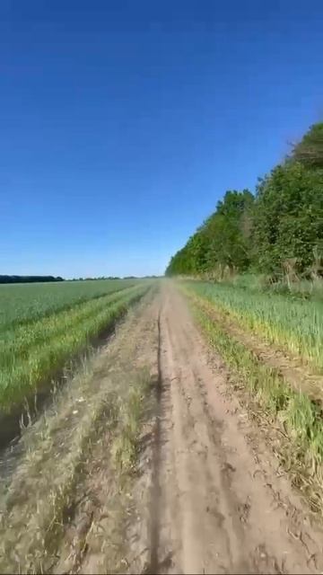 Позитивчик🎼🌱