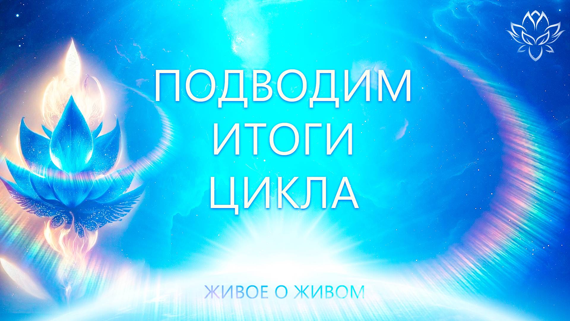Подводим Общие Итоги. Завершение Цикла