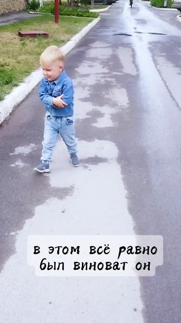 Виноват