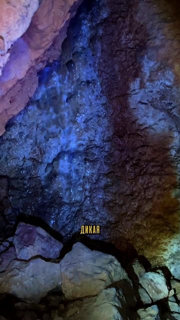 Один из самых живописных каньонов в Крыму Локация: 44.495086, 33.897791 #пещера #каньон #крым