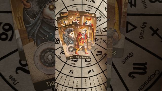 💓🤩ПРОЯВИТСЯ ли МУЖЧИНА ⁉️Таро расклад🔮гадание онлайн.