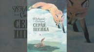 Серая Шейка. Сказка Дмитрия Мамина-Сибиряка. Краткий пересказ.