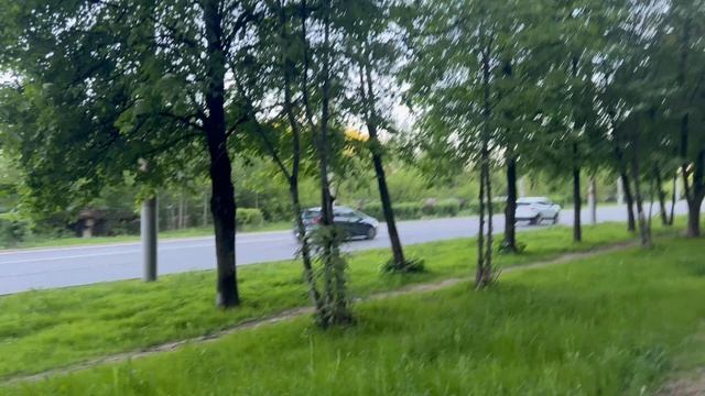My live. Оживающая природа весной.