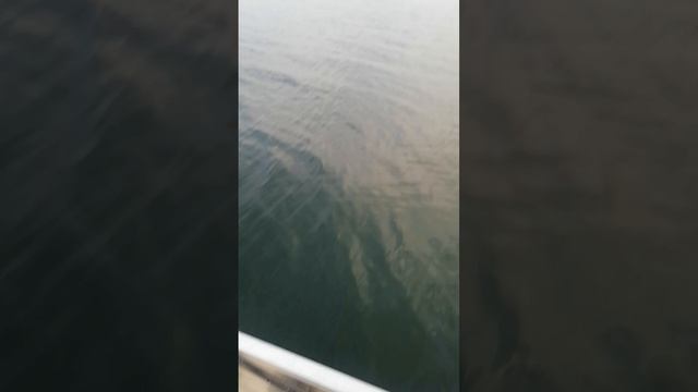 Лодка русбот 45