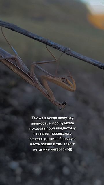 Вот и пришло тепло,повылезали монстры,🫣