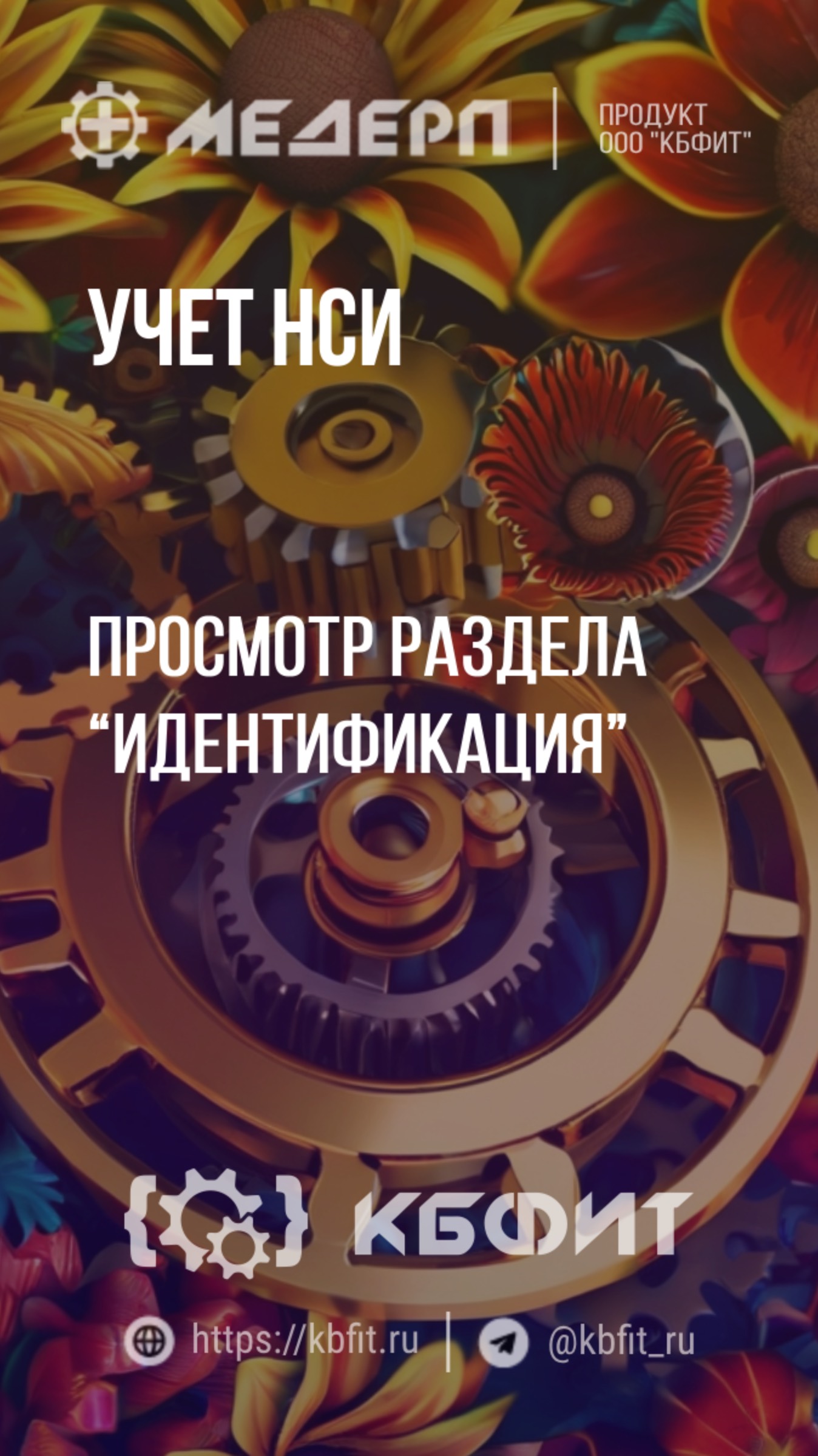 КБФИТ: МЕДЕРП. Учет НСИ: Просмотр раздела “Идентификация”