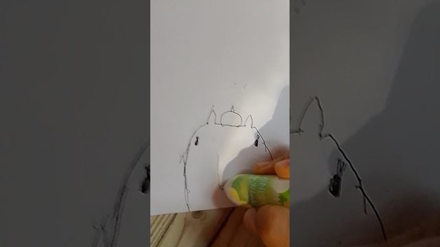 1000003973.mp4