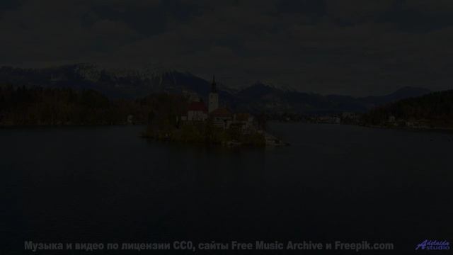 Лес превращается в сказку, стоит лишь включить звук - Tragedy Waiting To Happen -- HoliznaCC0 -- Hor