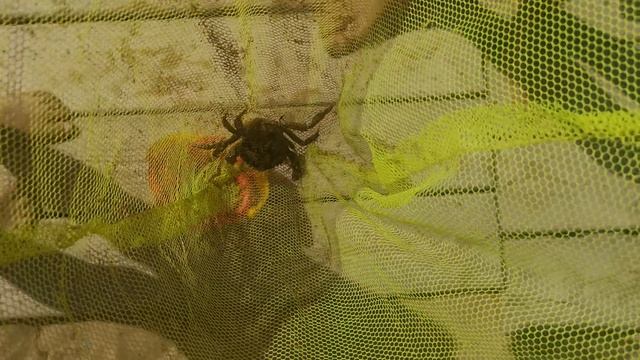 VID_20240623_095916