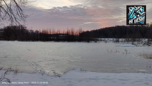 Утром 22 ноября 2024 года на Зелёном острове в Омске стре?