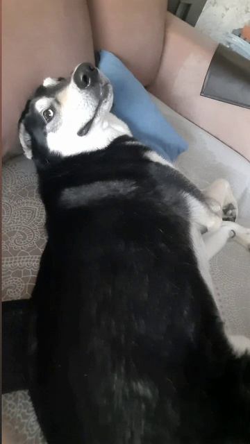 Когда весёлый будильник заснул,вместо того чтобы тебя разбудить 😂