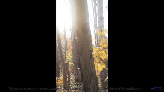 Он настолько трогательный, что хочется обнять весь мир! - Someones Thinking About You -- Kirk Osamay