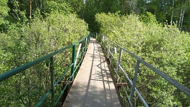 от мостика через Зырянку до пруда на СНТ Восток