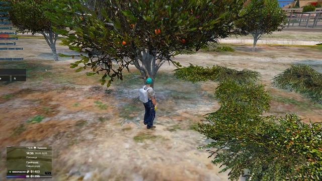 Grand Theft Auto V 2025.05.30 - 14.36.26.22