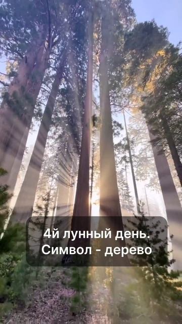 30 МАЯ - Лунный и астро прогноз на пятницу