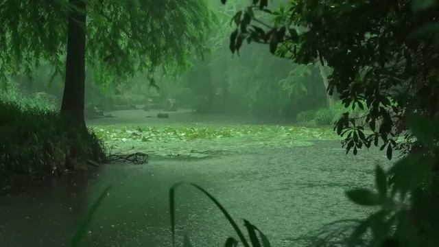 ☔️ На красивой речушке льет дождь 🌳