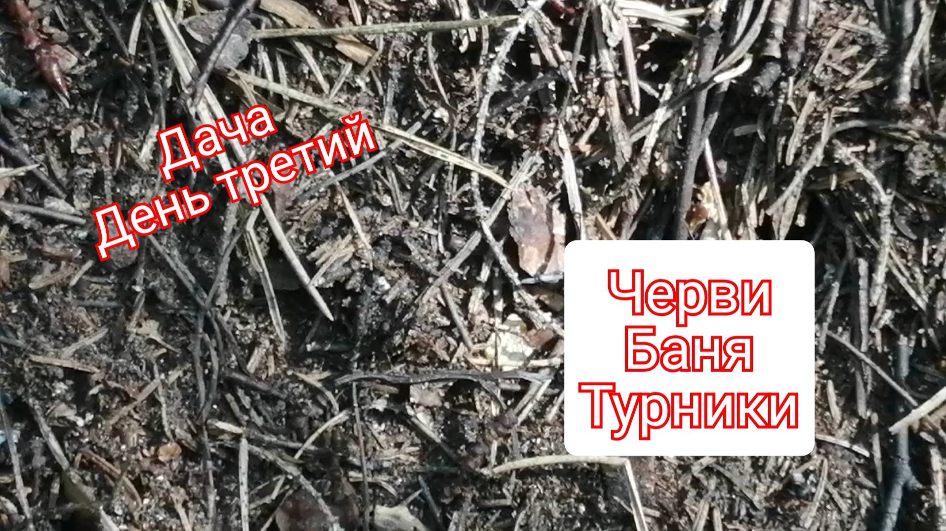 Отпуск.Дача.День третий