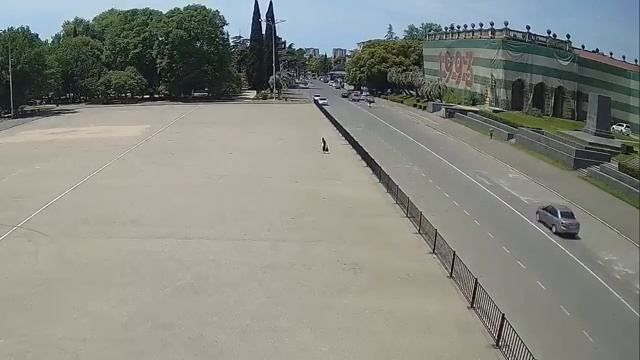 Вот это поворот... Решение принято.. Требуют немедленно прекратить