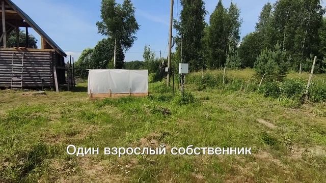Земельный участок 10 сот. в д. Старое Домозерово