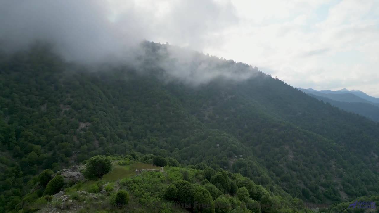 Включите и почувствуйте, как падают снежинки! - El Camino del Alce -- Silva de Alegria -- Primavera