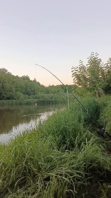 Все по кайфу