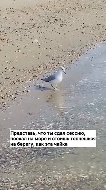 Мы представили...