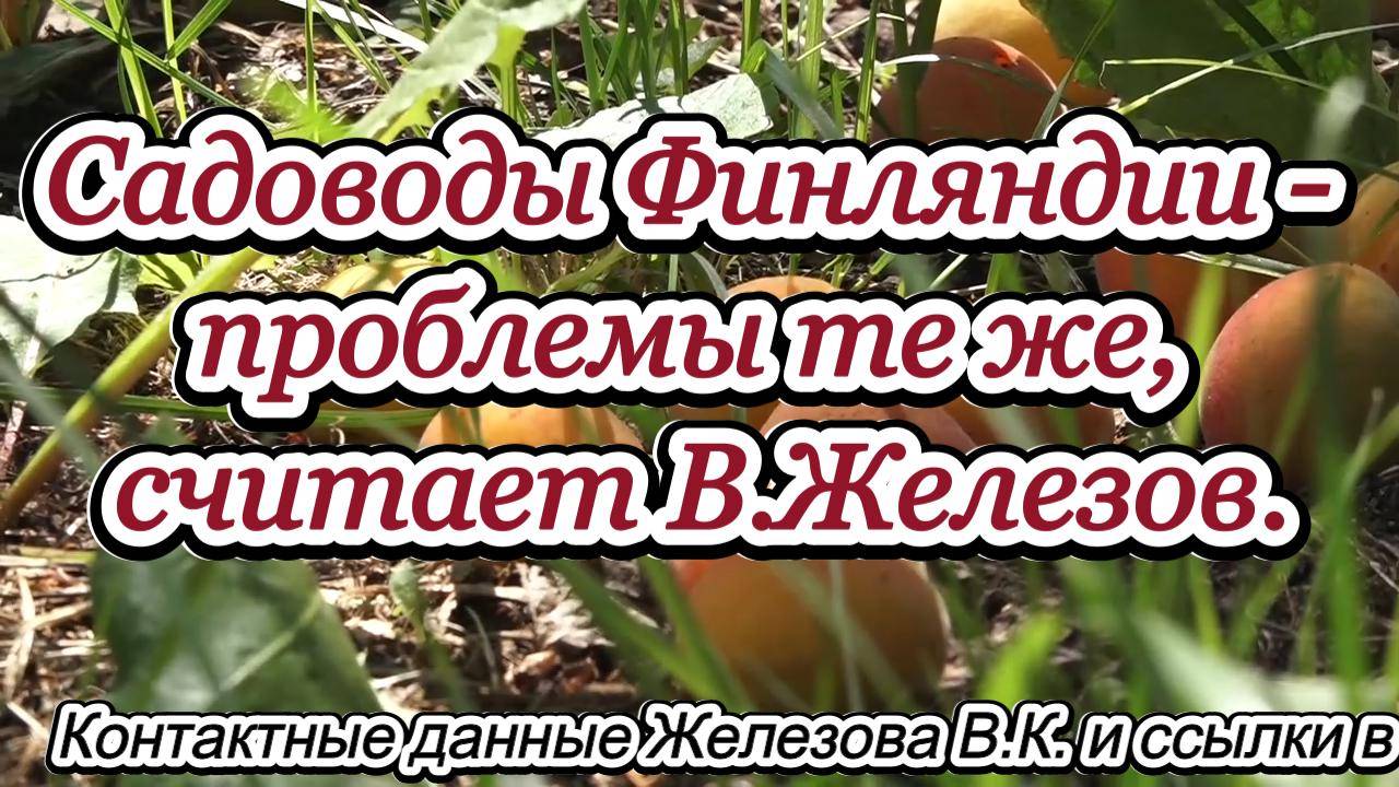Садоводы Финляндии - проблемы те же, считает В.Железов.