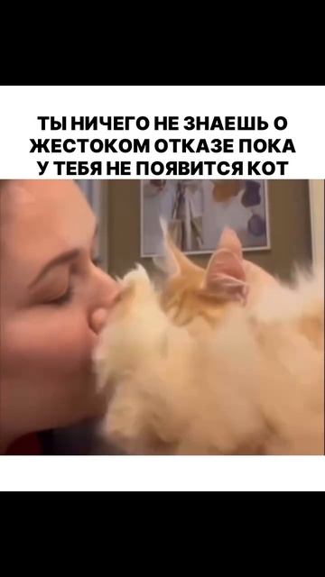 Ты ничего не знаешь о жестоком отказе, пока у тебя не появится кот...