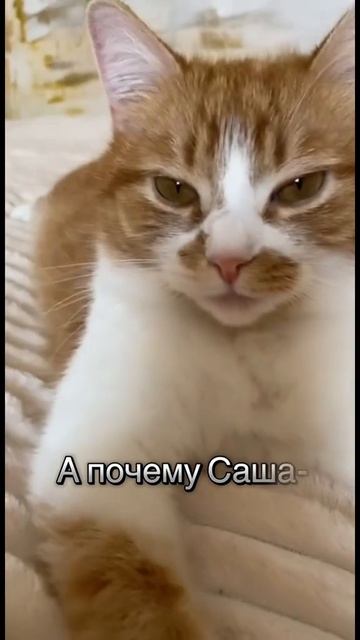 Вопросы перед сном