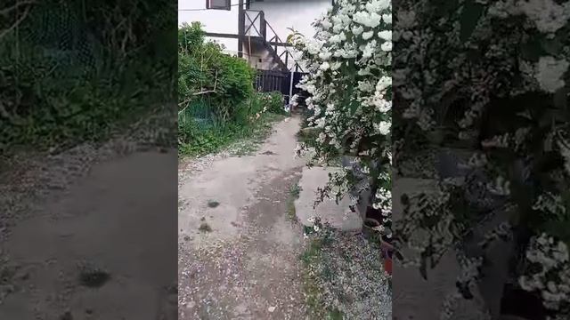 1000071186.mp4